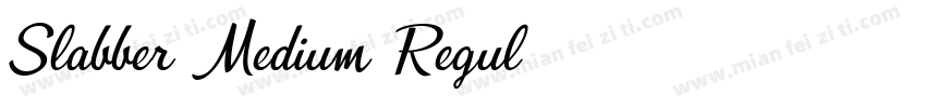 Slabber-Medium Regul字体转换